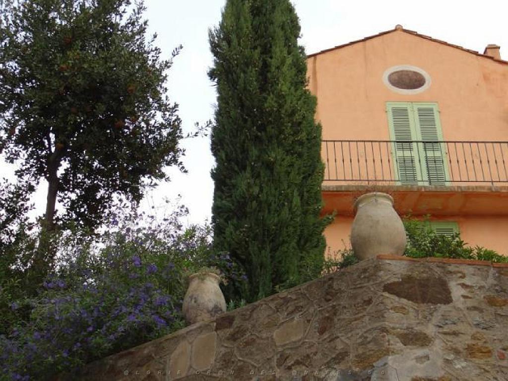 183 D23 BORMES LES MIMOSAS 1_000053.jpg